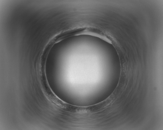 X0000082930587200702081543