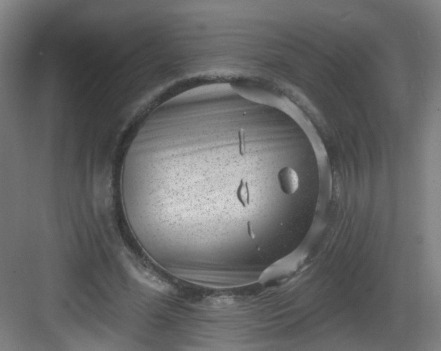 X0000082930588200702081543