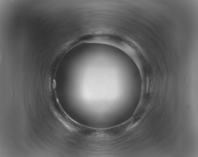 X0000082930589200702081543