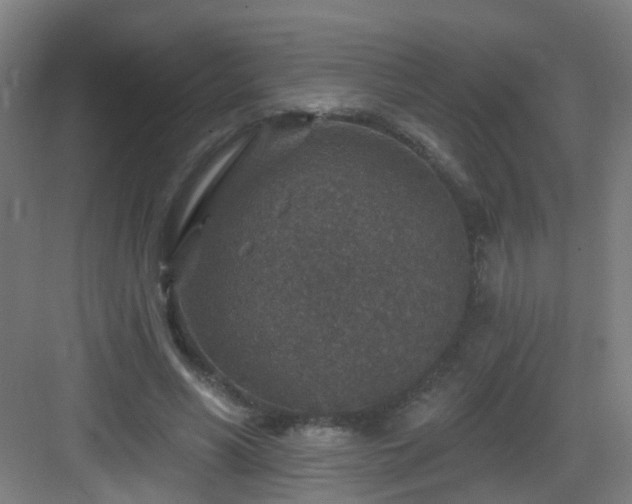 X0000082930590200702081543