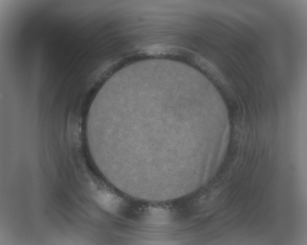 X0000082930592200702081543