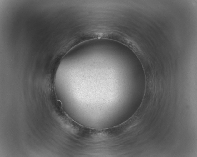 X0000082930594200702081543