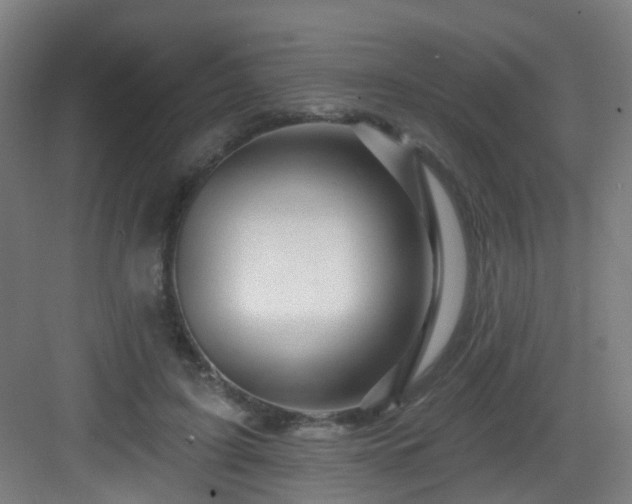 X0000082930595200702081543