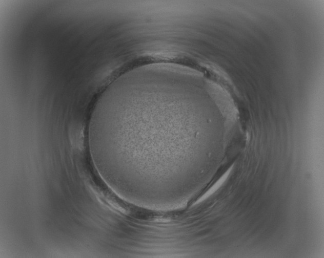 X0000082930596200702081543