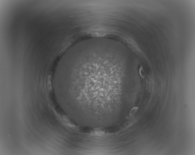 X0000082930598200702081543