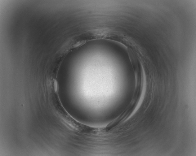 X0000082930601200702081543