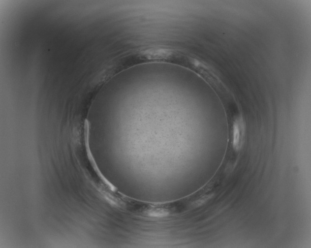 X0000082930604200702081542