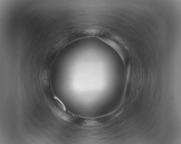 X0000082930605200702081542