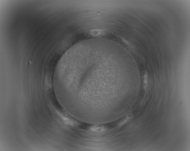 X0000082930606200702081542