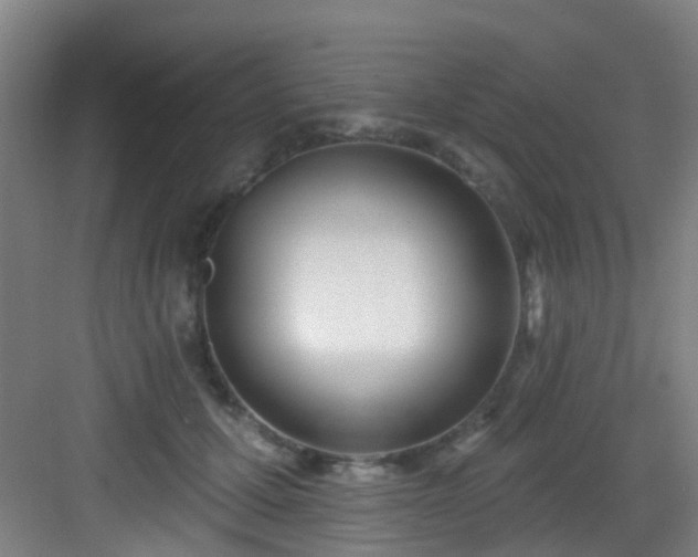 X0000082930607200702081542