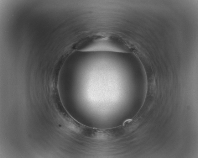 X0000082930608200702081542