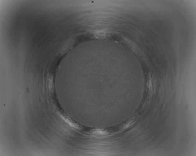 X0000082930610200702081542