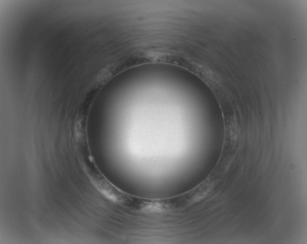 X0000082930611200702081542