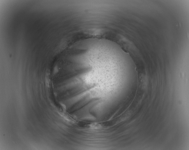 X0000082930612200702081542