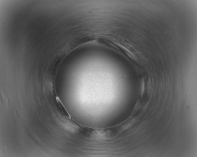 X0000082930613200702081542