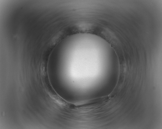 X0000082930615200702081542