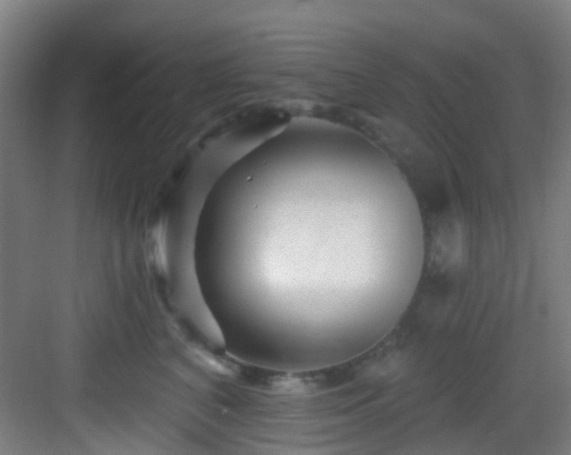 X0000082930616200702081542