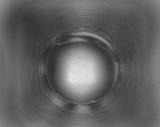 X0000082930617200702081542