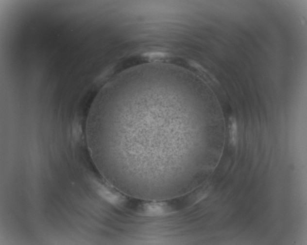 X0000082930618200702081542