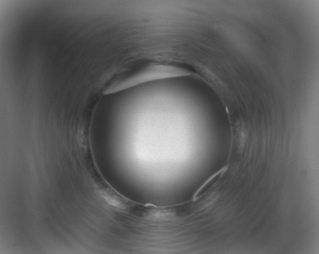 X0000082930619200702081542