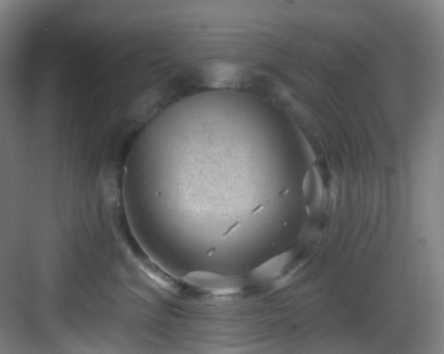 X0000082930620200702081542