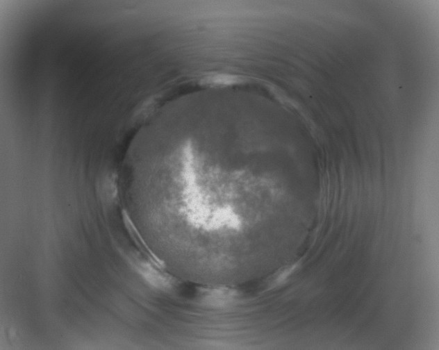 X0000082930621200702081542