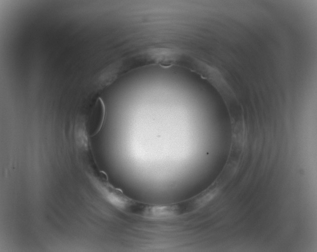 X0000082930622200702081542