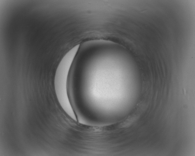 X0000082930624200702081542