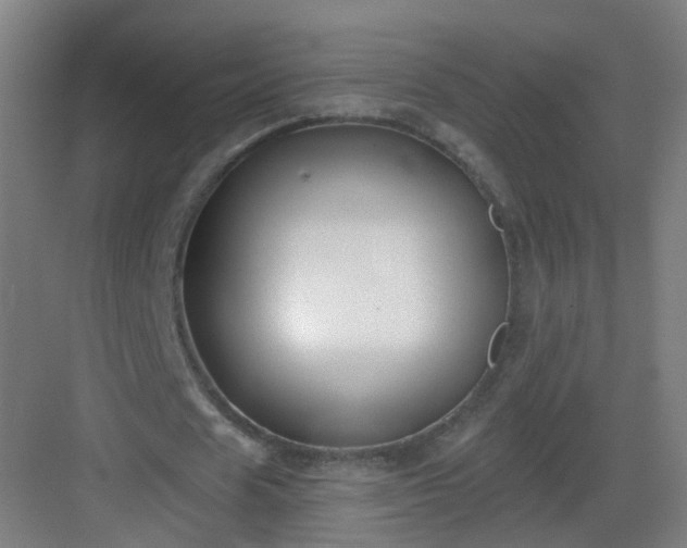 X0000082930625200702081541