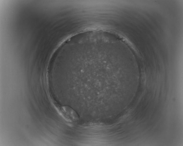 X0000082930626200702081541