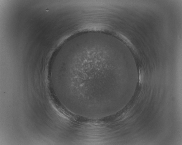 X0000082930627200702081541