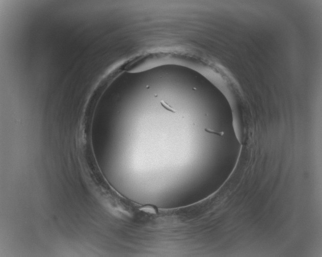 X0000082930628200702081541