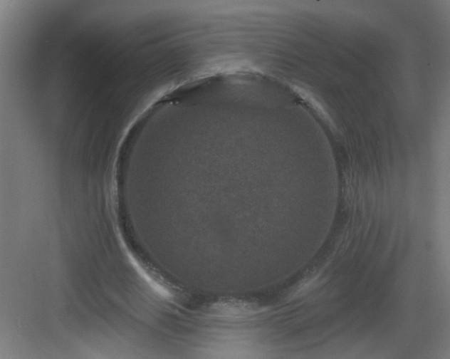 X0000082930630200702081541