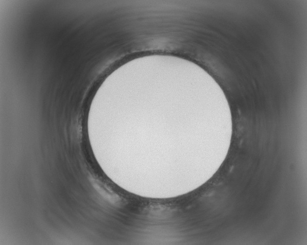 X0000082930632200702081541