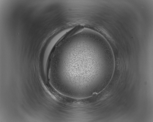 X0000082930634200702081541