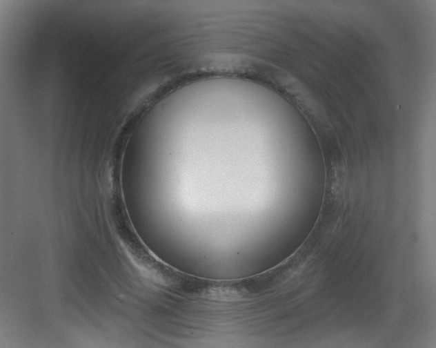 X0000082930636200702081542