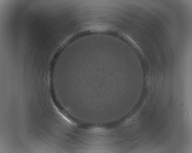 X0000082930637200702081542