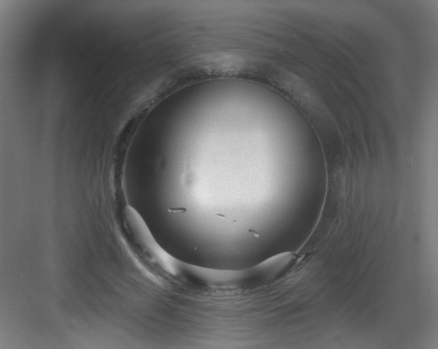 X0000082930638200702081542