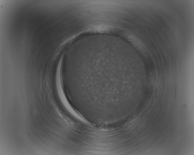 X0000082930640200702081542