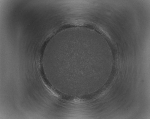 X0000082930641200702081542