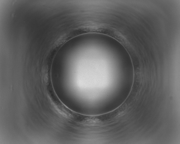 X0000082930642200702081542