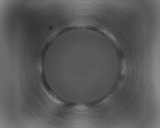 X0000082930644200702081542