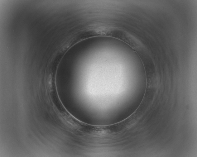 X0000082930646200702081542