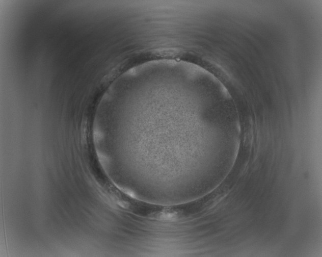 X0000082930647200702081542