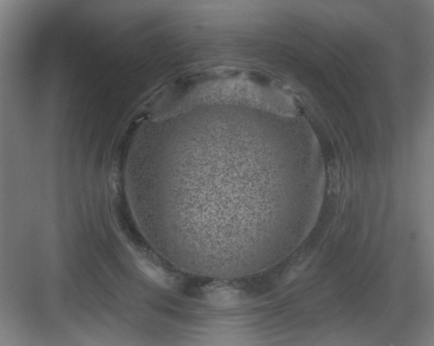 X0000082930648200702081542