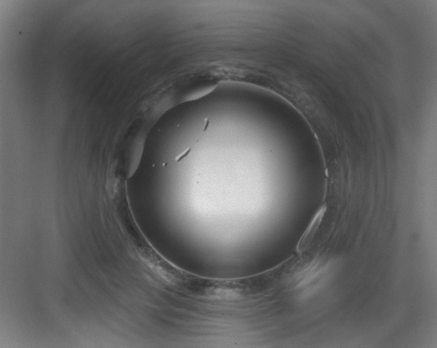 X0000082930649200702081542