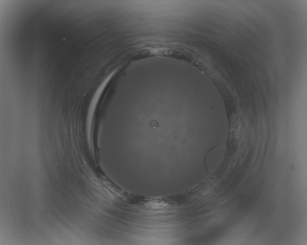 X0000082930650200702081542