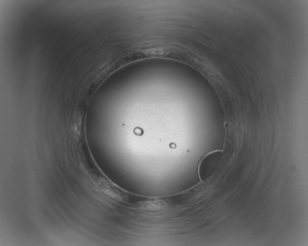 X0000082930652200702081542