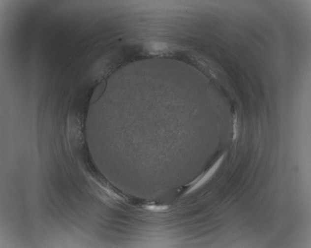 X0000082930653200702081542