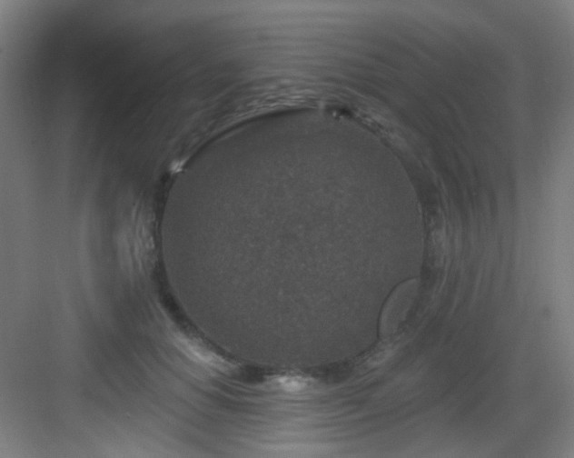 X0000082930654200702081542